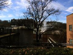 Why The Trees At The Jack Daniel Distillery Look Like They've Been Blow-Torched